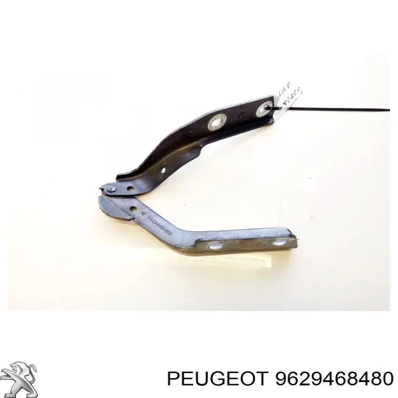 791258 Peugeot/Citroen Gozno da capota esquerdo