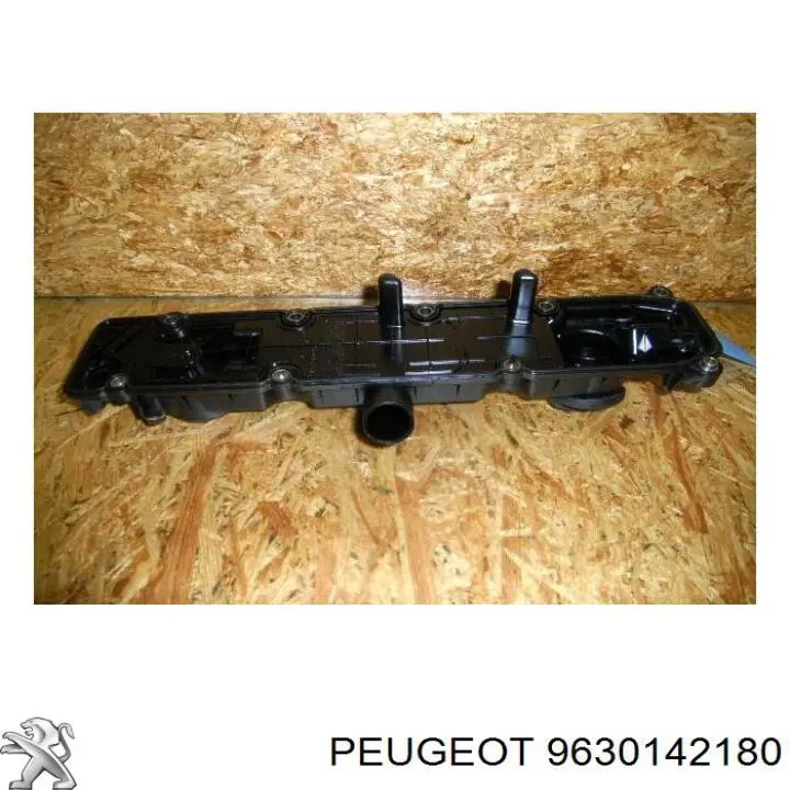 00000248G5 Peugeot/Citroen Tampa de válvulas