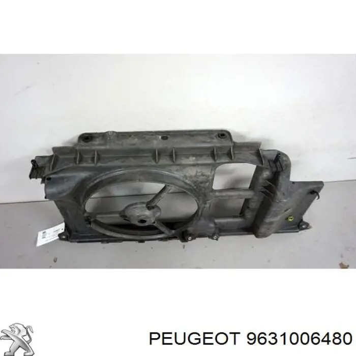 9631006480 Peugeot/Citroen Suporte do radiador montado (painel de montagem de fixação das luzes)