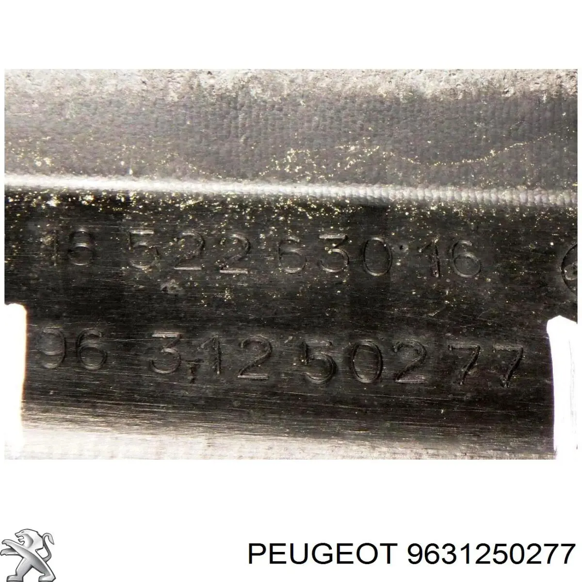 9631250277 Peugeot/Citroen Grelha do radiador