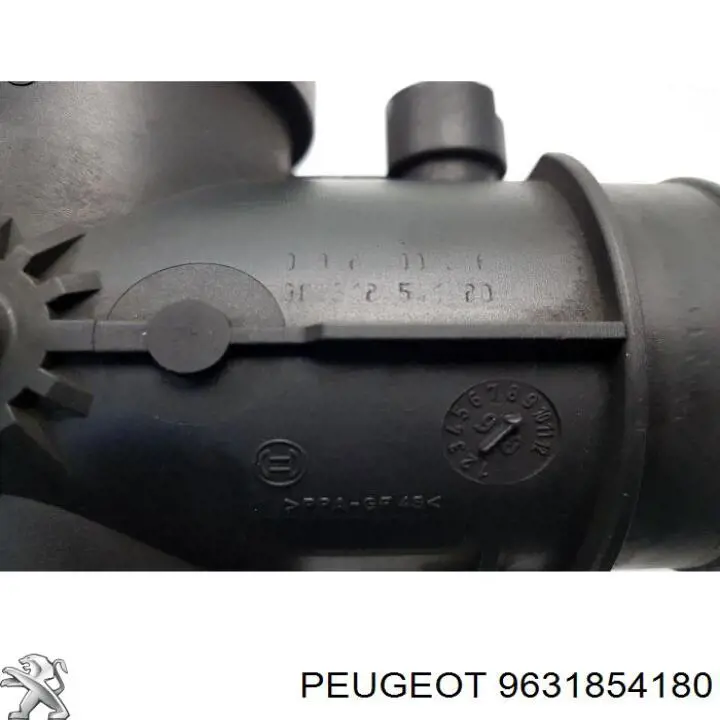 Compre 9638111580 Peugeot/Citroen Válvula EGR de recirculação dos gases