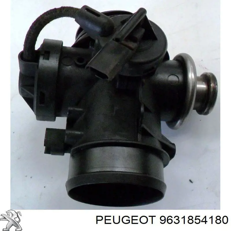 Válvula EGR de recirculação dos gases Peugeot/Citroen 9638111580
