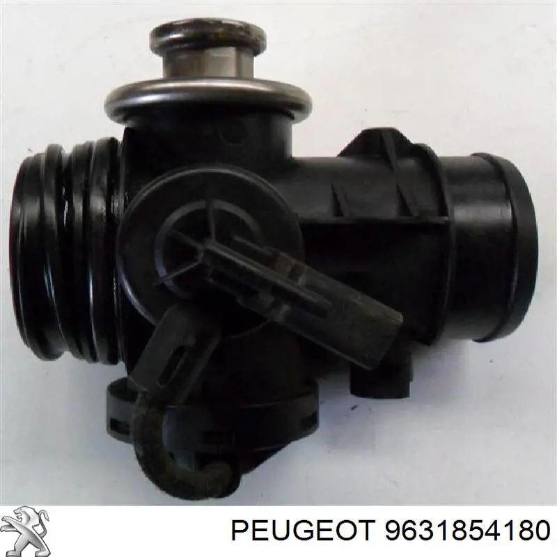 Válvula EGR de recirculação dos gases 9638111580 Peugeot/Citroen