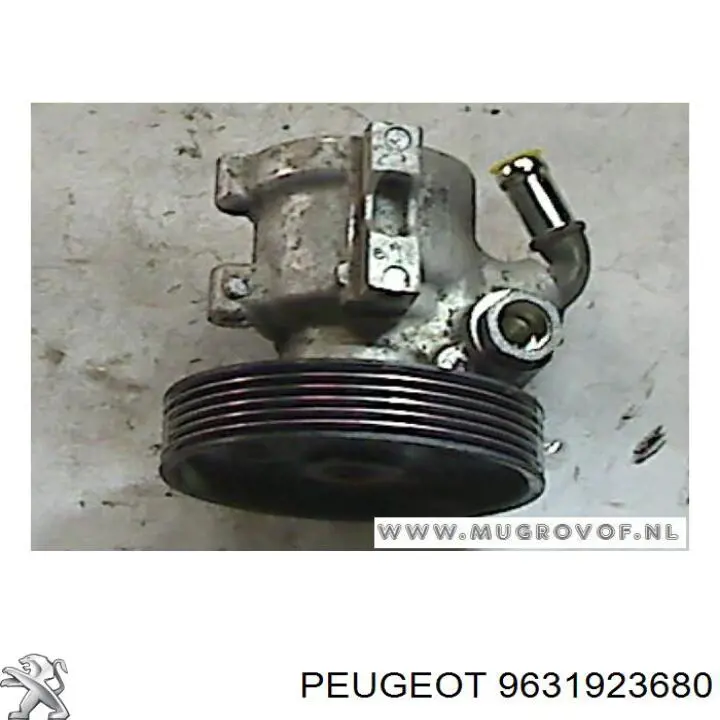9631923680 Peugeot/Citroen Bomba da Direção hidrâulica assistida