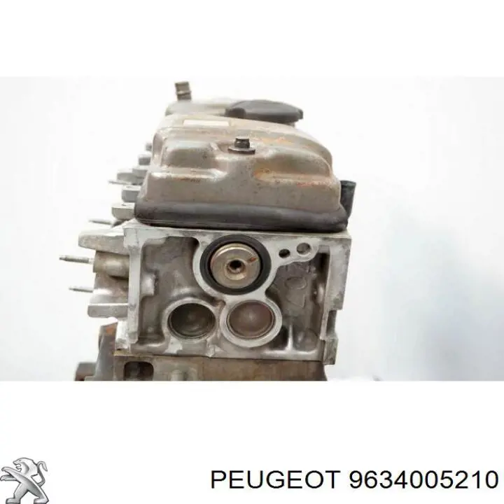 9634005210 Peugeot/Citroen 