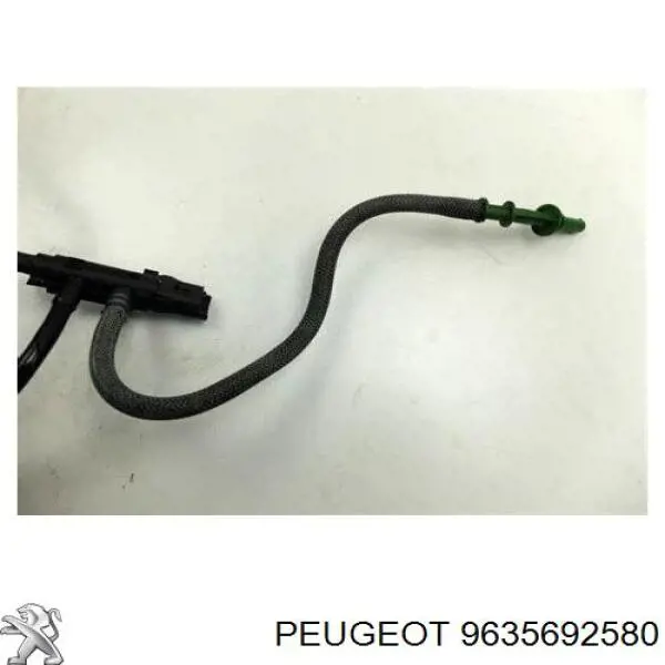  Peugeot/Citroen 9635692580
