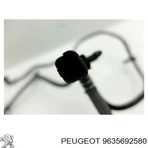 9635692580 Peugeot/Citroen Sensor de temperatura de combustível