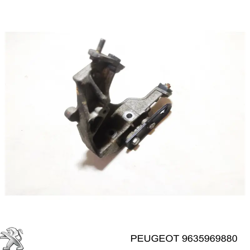  9635969880 Peugeot/Citroen