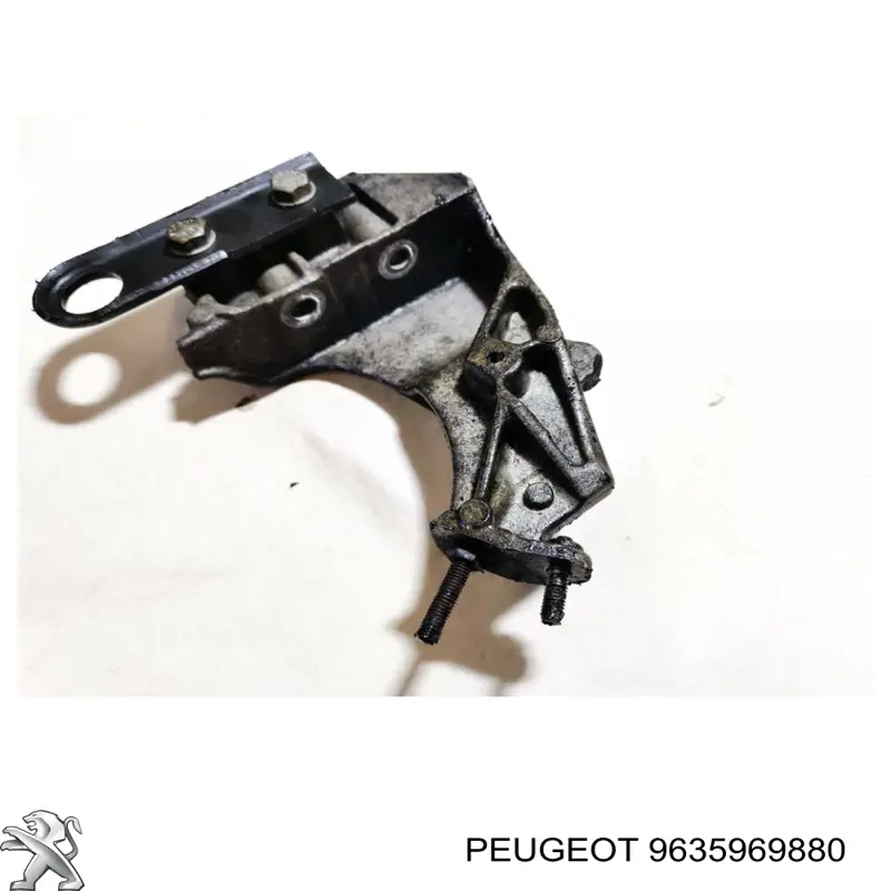 9635969880 Peugeot/Citroen 