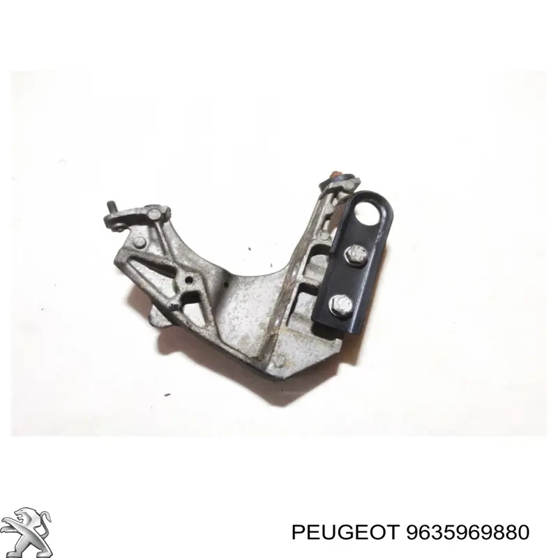  Peugeot/Citroen 9635969880