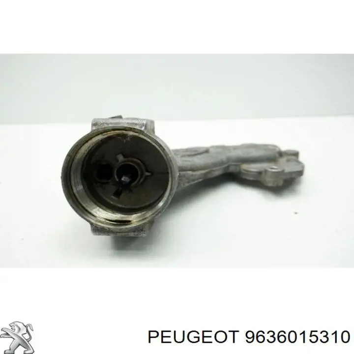  Peugeot/Citroen 9636015310 preço, a partir de 66,40 USD