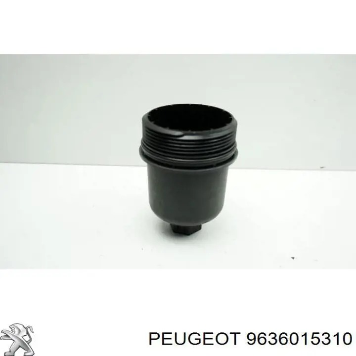 9636015310 Peugeot/Citroen 