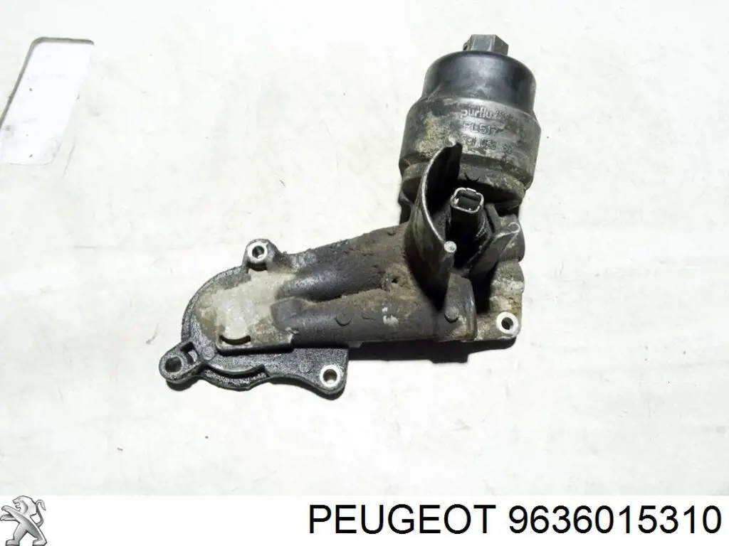 Compre 9636015310 Peugeot/Citroen 
