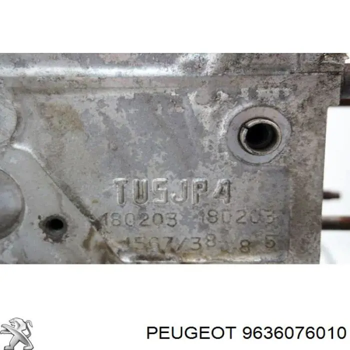  9636076010 Peugeot/Citroen