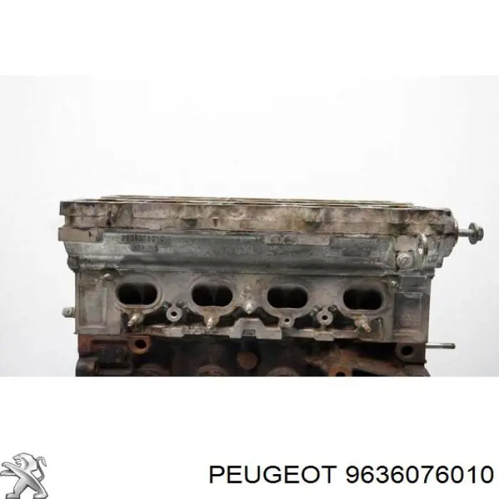 Compre 9636076010 Peugeot/Citroen 