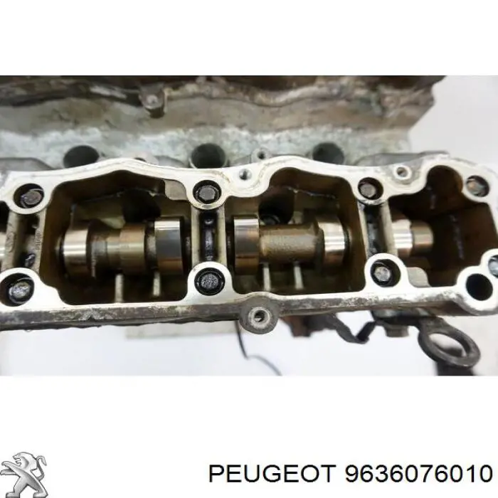  Peugeot/Citroen 9636076010