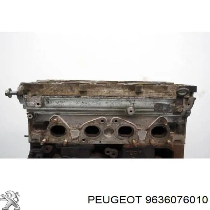 9636076010 Peugeot/Citroen 