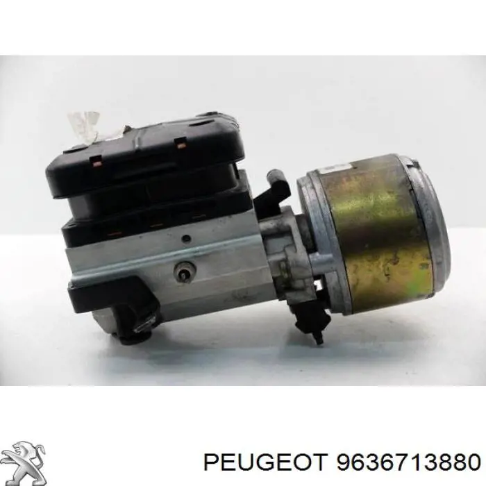 9636713880 Peugeot/Citroen 