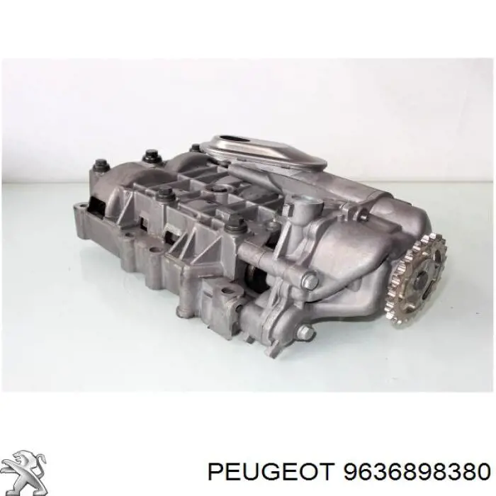  Peugeot/Citroen 9636898380