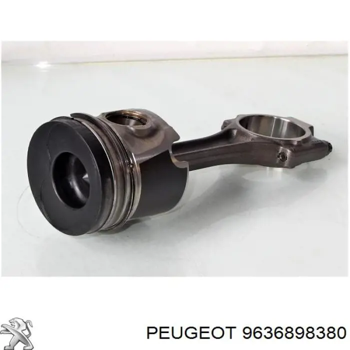 9636898380 Peugeot/Citroen 