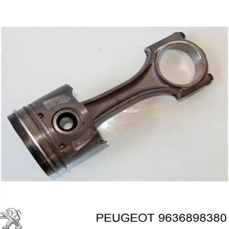9636898380 Peugeot/Citroen 