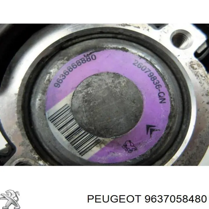 Compre 9637058480 Peugeot/Citroen 