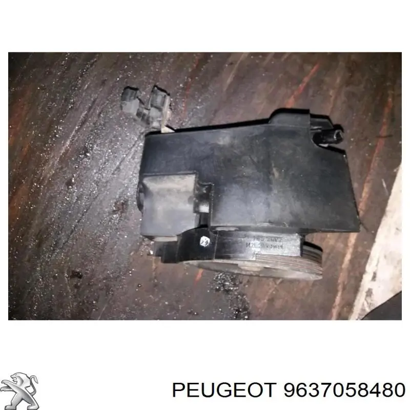 9637058480 Peugeot/Citroen 