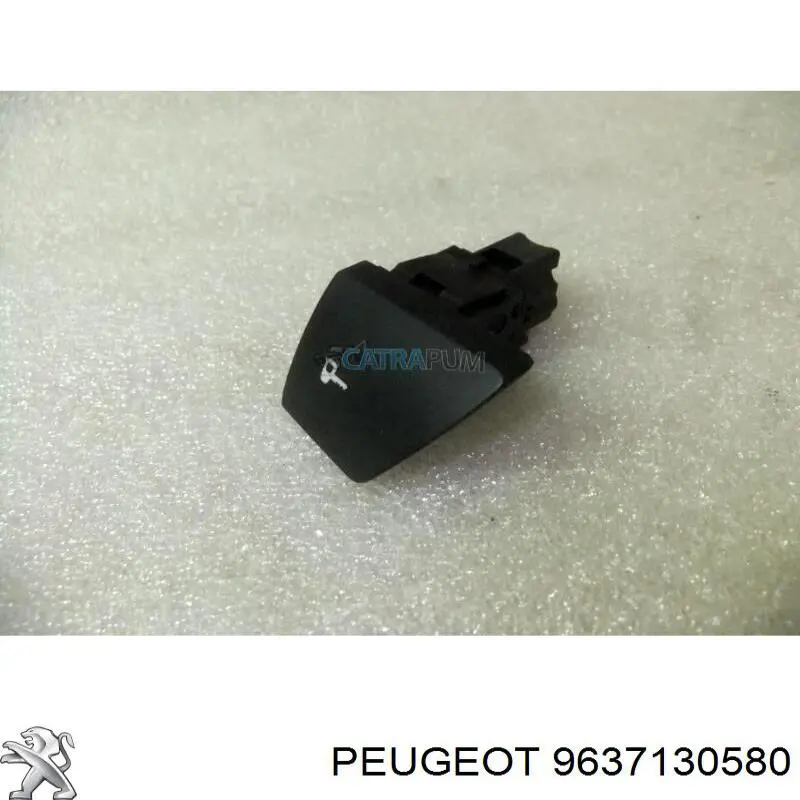  9637130580 Peugeot/Citroen