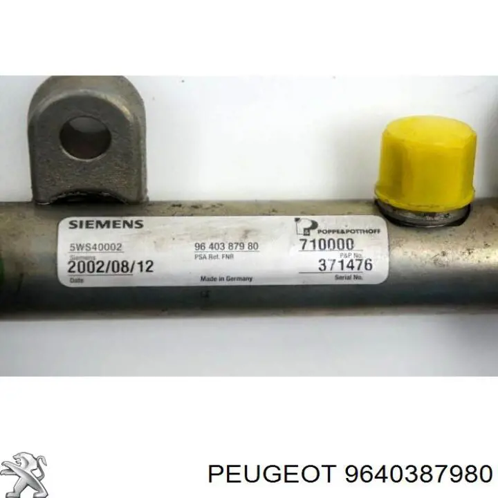 9640387980 Peugeot/Citroen Distribuidor de combustível (rampa)