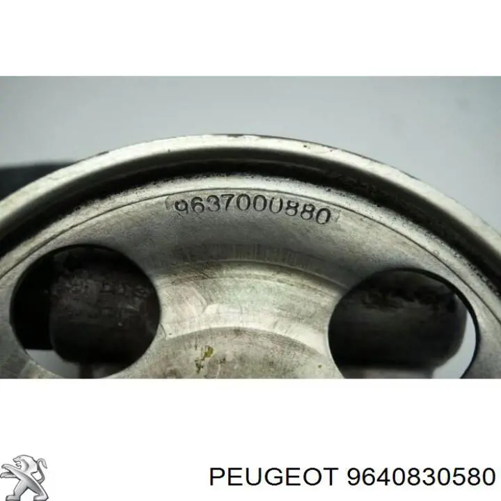 9640830580 Peugeot/Citroen Bomba da Direção hidrâulica assistida