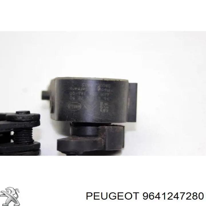 9641247280 Peugeot/Citroen 