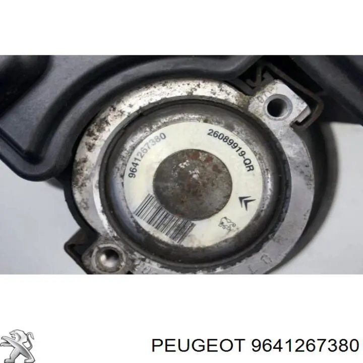 9641267380 Peugeot/Citroen Bomba da Direção hidrâulica assistida
