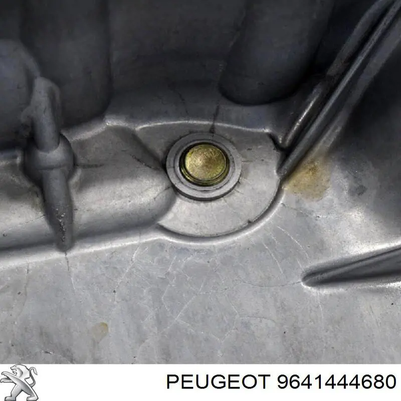  Peugeot/Citroen 9641444680