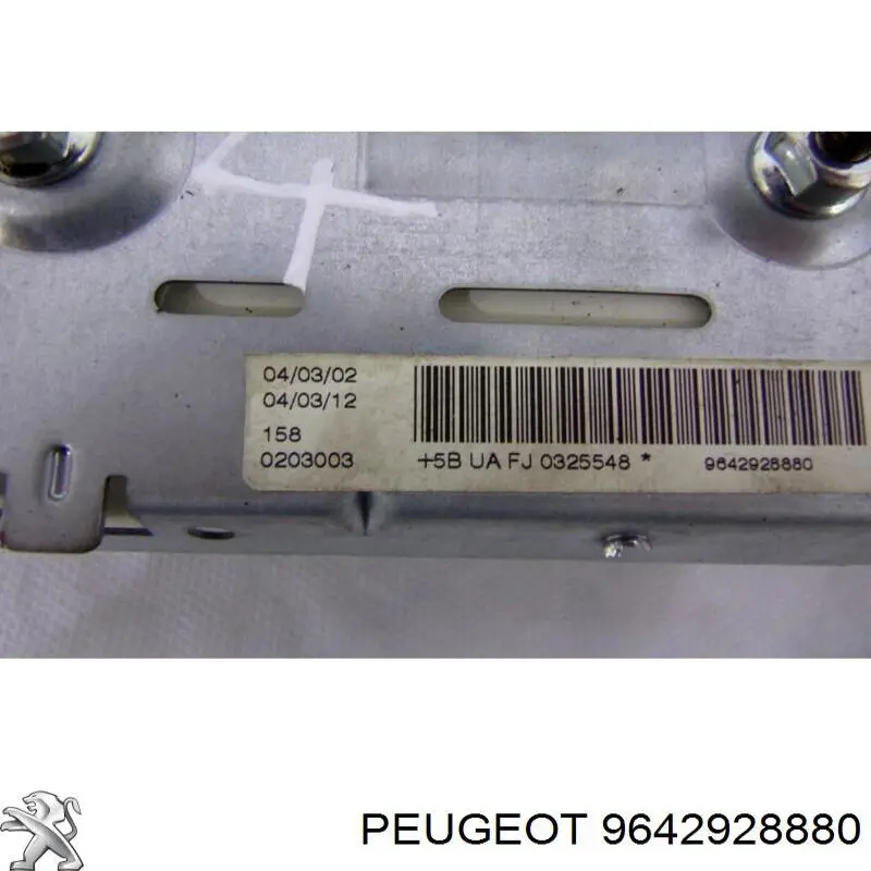 9642928880 Peugeot/Citroen 