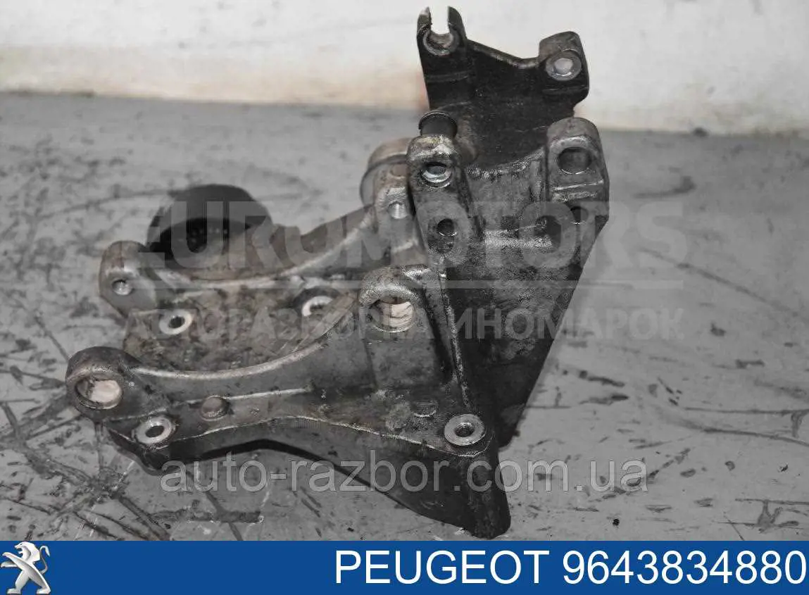 9643834880 Peugeot/Citroen Consola do gerador
