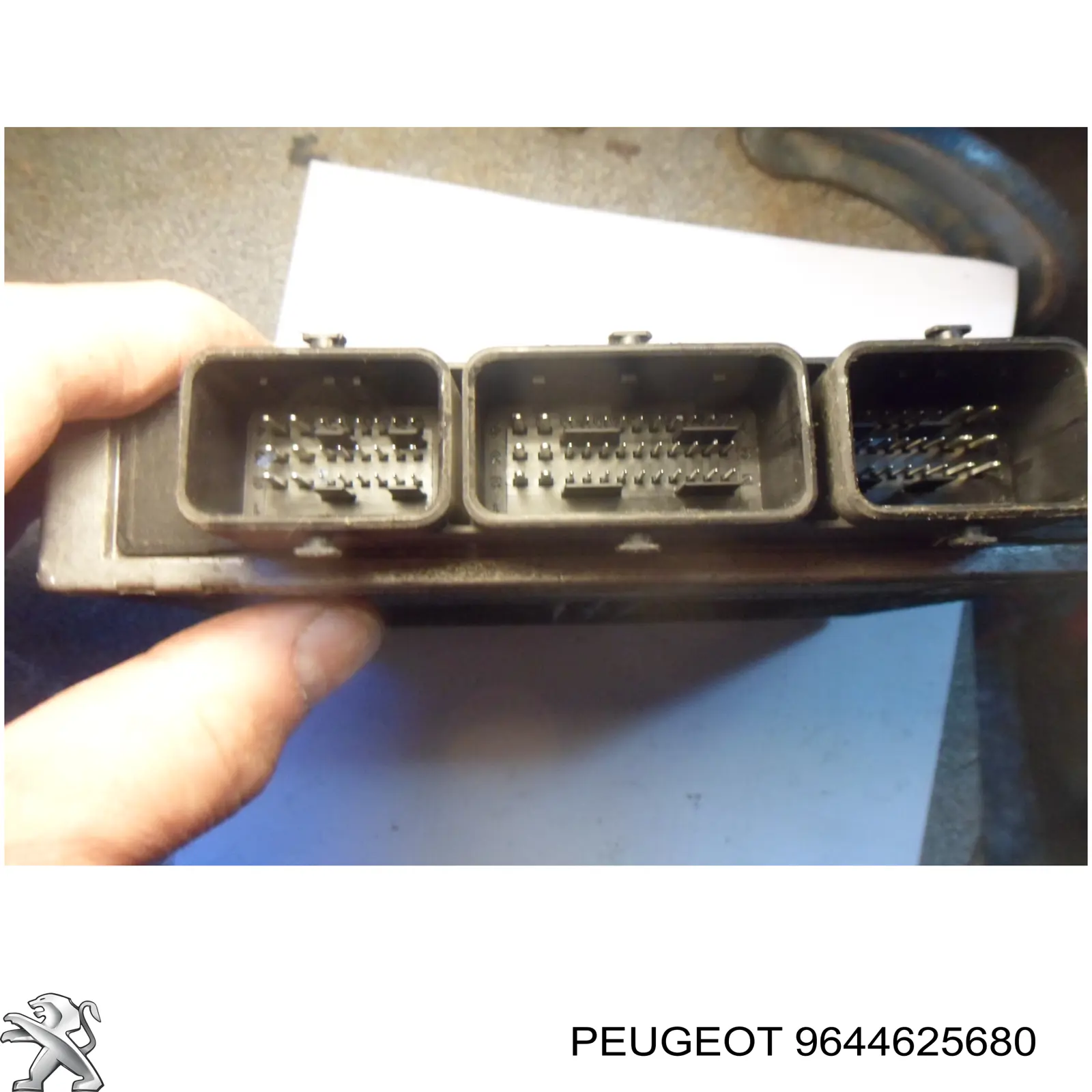 Compre 9644625680 Peugeot/Citroen Módulo de direção (Centralina eletrônica) de motor