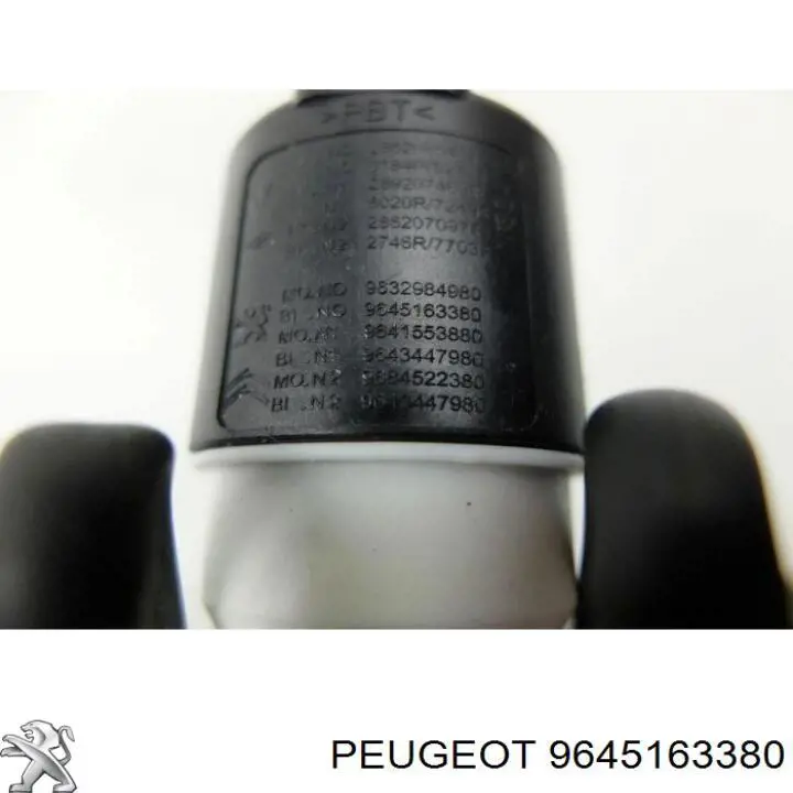 9645163380 Peugeot/Citroen 