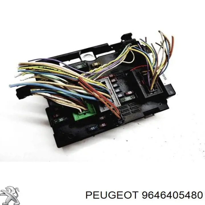 Unidade traseira do salão de dispositivos de segurança Peugeot/Citroen 9646405480