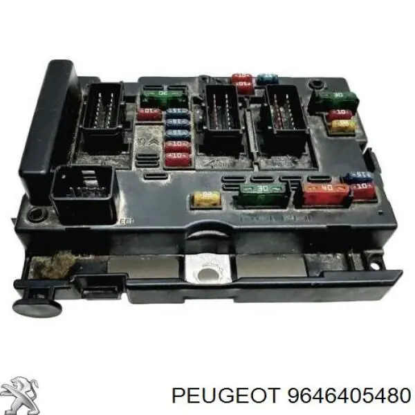 Compre 9646405480 Peugeot/Citroen Unidade traseira do salão de dispositivos de segurança
