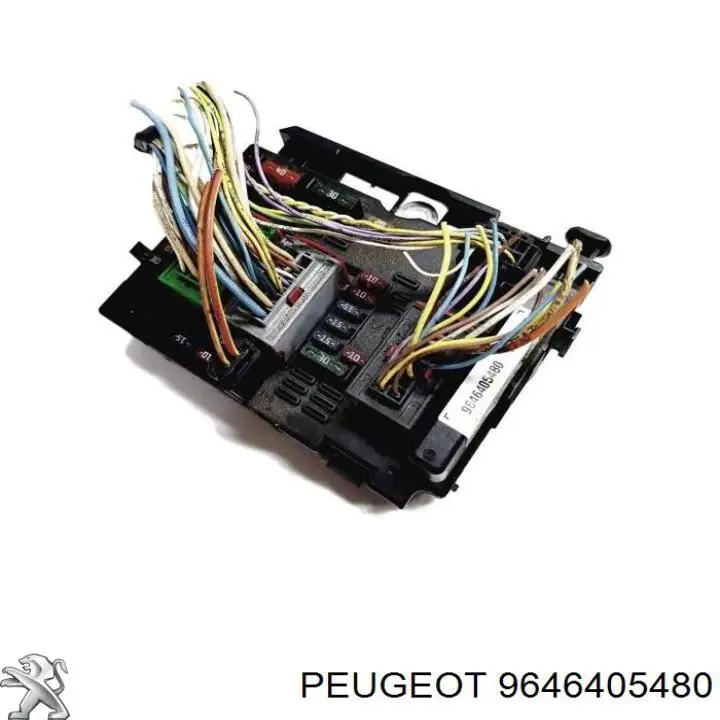 9646405480 Peugeot/Citroen Unidade traseira do salão de dispositivos de segurança