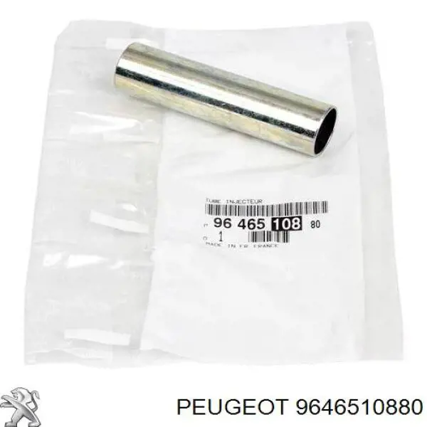 9646510880 Peugeot/Citroen Kit de reparação do injetor
