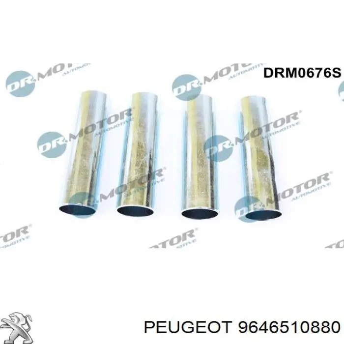 Compre 9646510880 Peugeot/Citroen Kit de reparação do injetor