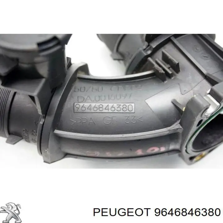 9646846380 Peugeot/Citroen 