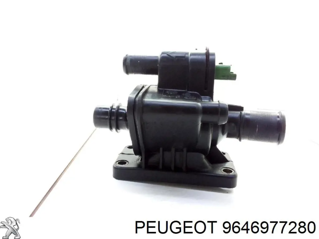 9646977280 Peugeot/Citroen 
