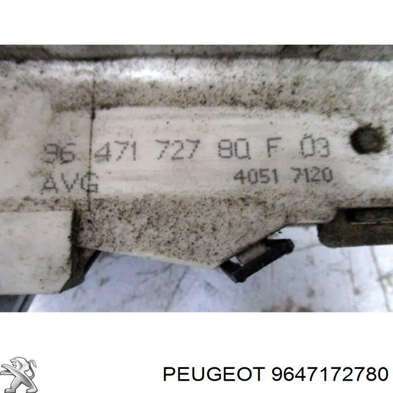 9647172780 Peugeot/Citroen 