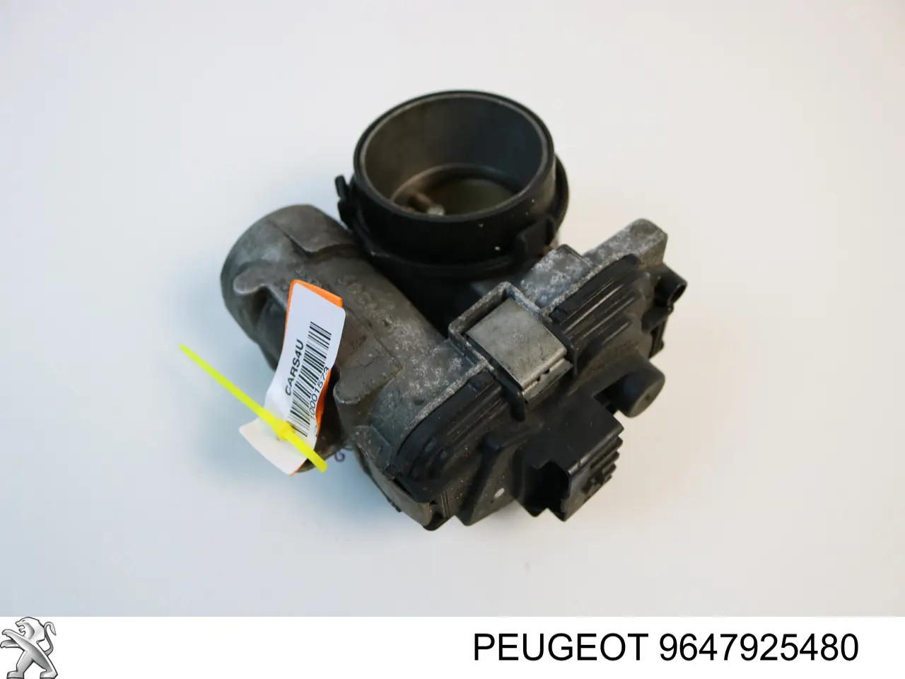 9647925480 Peugeot/Citroen Válvula de borboleta montada