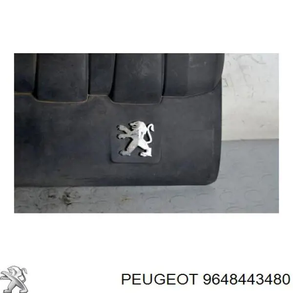  9648443480 Peugeot/Citroen