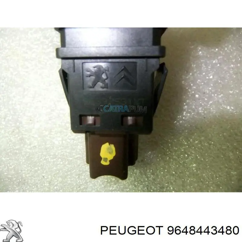  9648443480 Peugeot/Citroen
