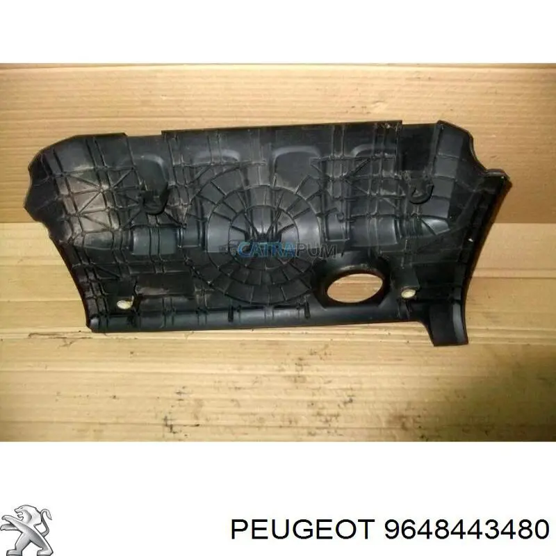 Peugeot/Citroen 9648443480