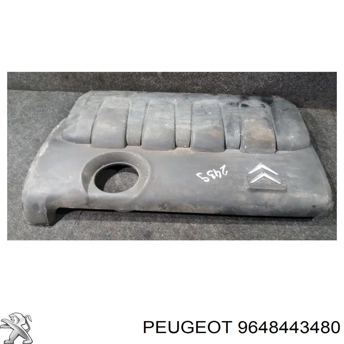 9648443480 Peugeot/Citroen 